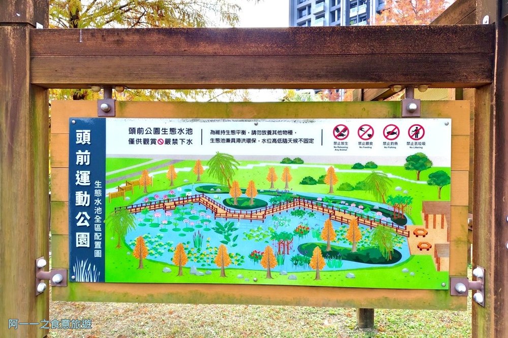 新莊頭前運動公園.台北落羽松秘境.環狀線幸福站景點