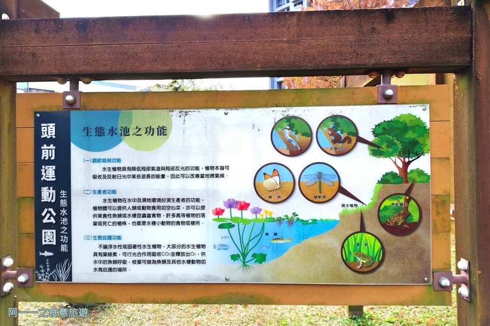 新莊頭前運動公園.台北落羽松秘境.環狀線幸福站景點