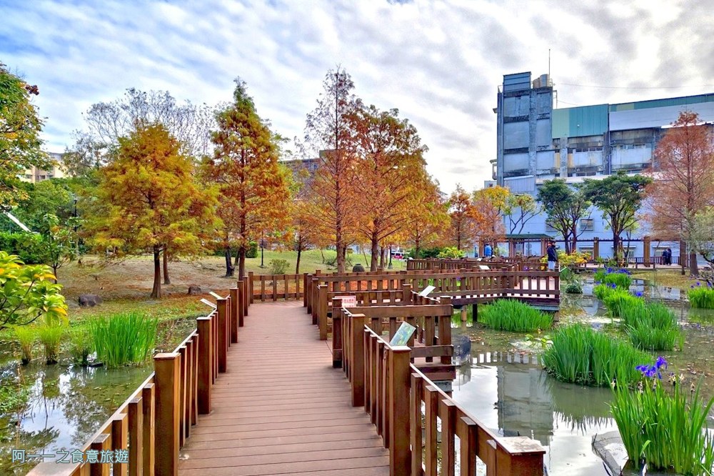 新莊頭前運動公園.台北落羽松秘境.環狀線幸福站景點