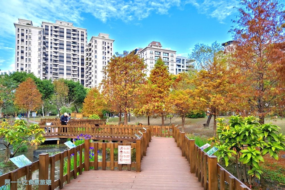 新莊頭前運動公園.台北落羽松秘境.環狀線幸福站景點