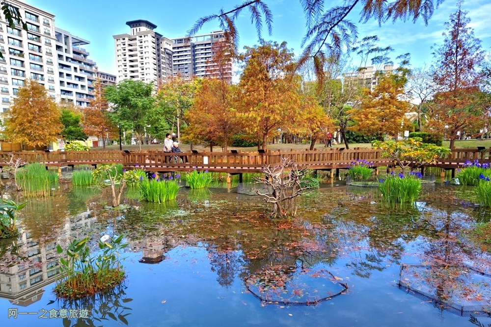新莊頭前運動公園.台北落羽松秘境.環狀線幸福站景點