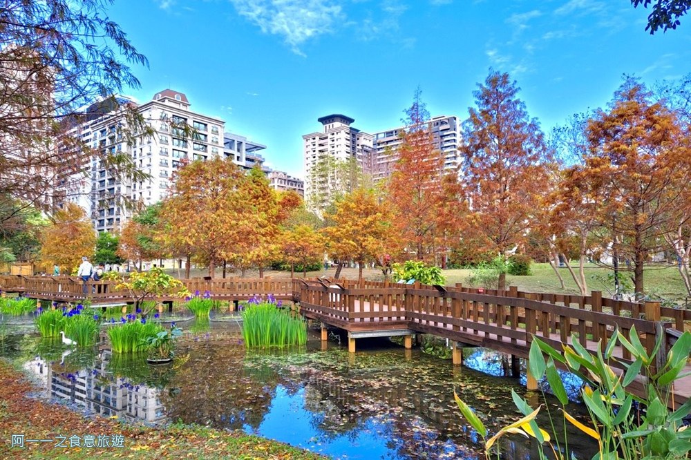 新莊頭前運動公園.台北落羽松秘境.環狀線幸福站景點