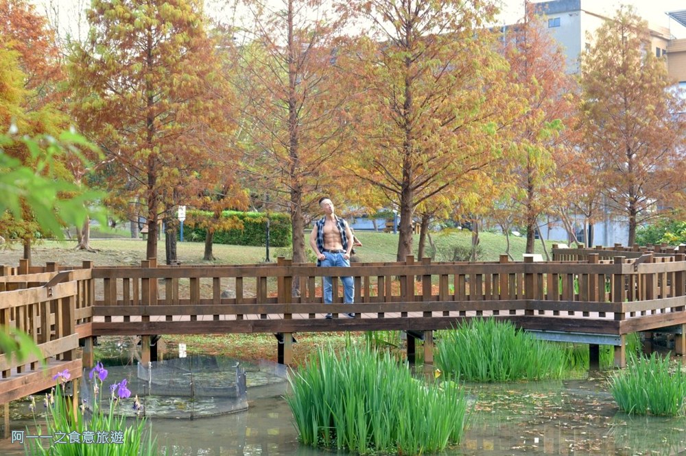 新莊頭前運動公園.台北落羽松秘境.環狀線幸福站景點
