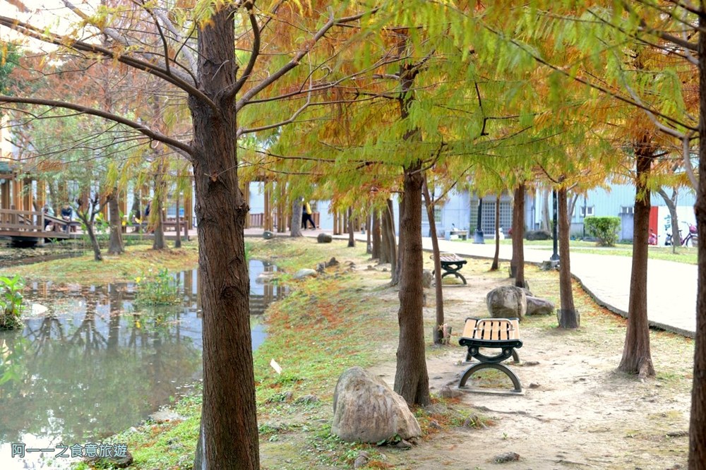 新莊頭前運動公園.台北落羽松秘境.環狀線幸福站景點