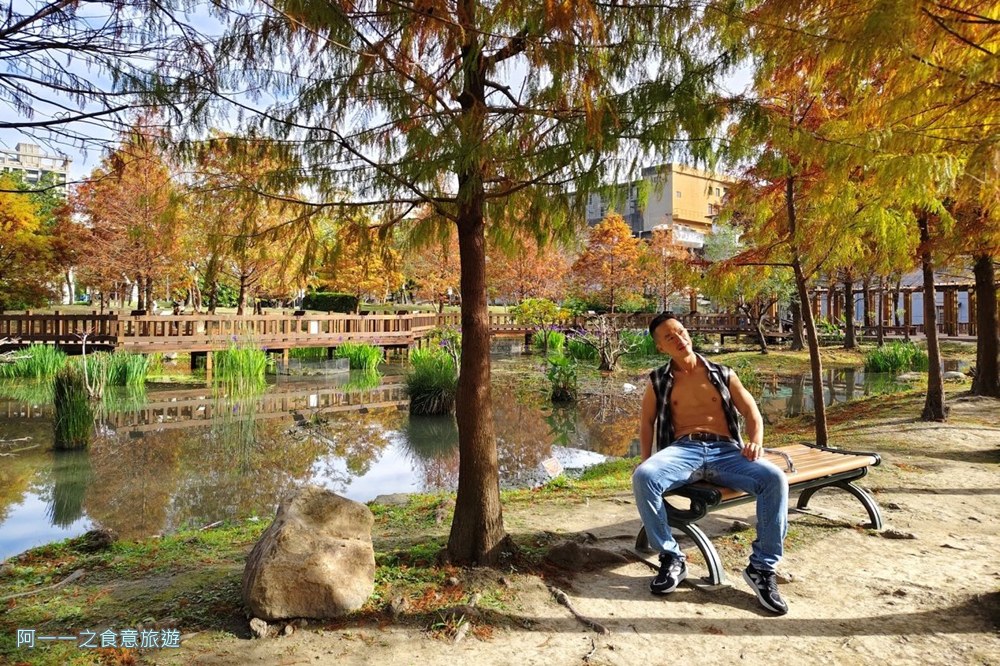 新莊頭前運動公園.台北落羽松秘境.環狀線幸福站景點