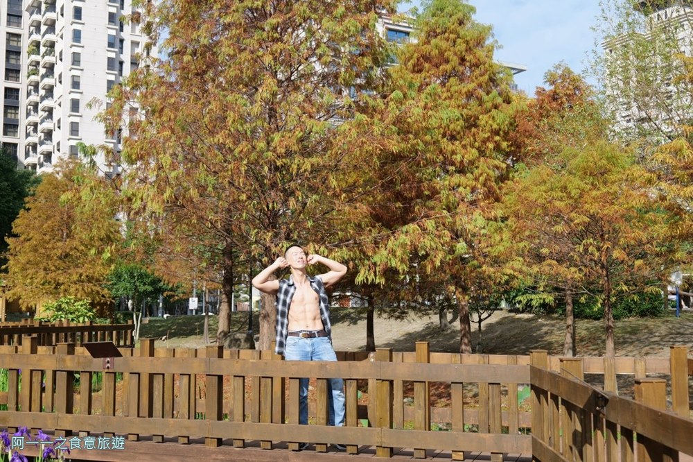 新莊頭前運動公園.台北落羽松秘境.環狀線幸福站景點