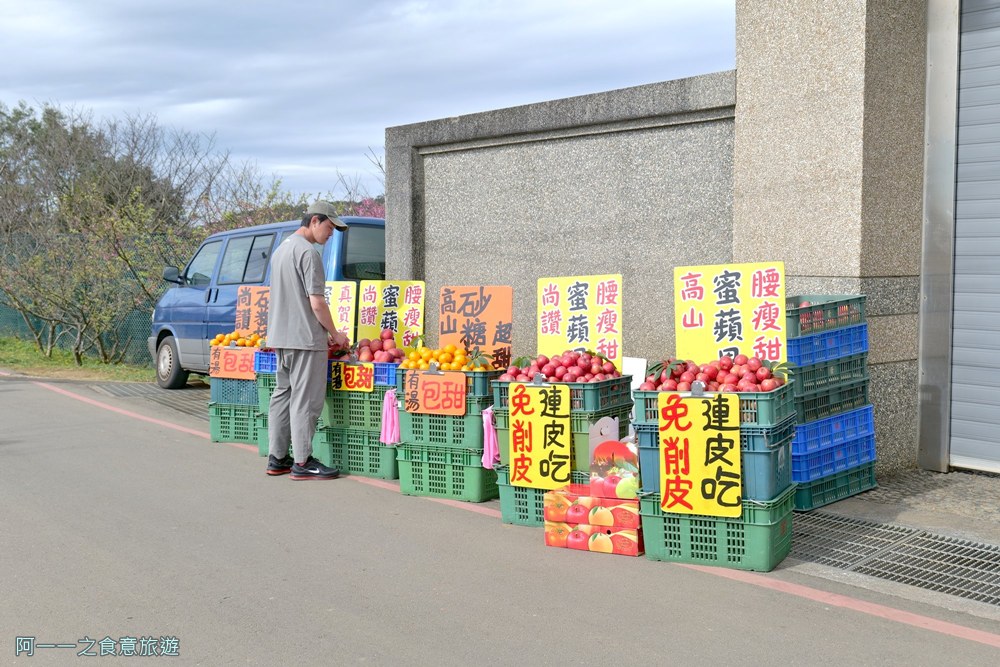 台北陽明山平菁街櫻花巷.公車.美食