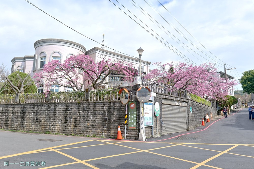台北陽明山平菁街櫻花巷.公車.美食