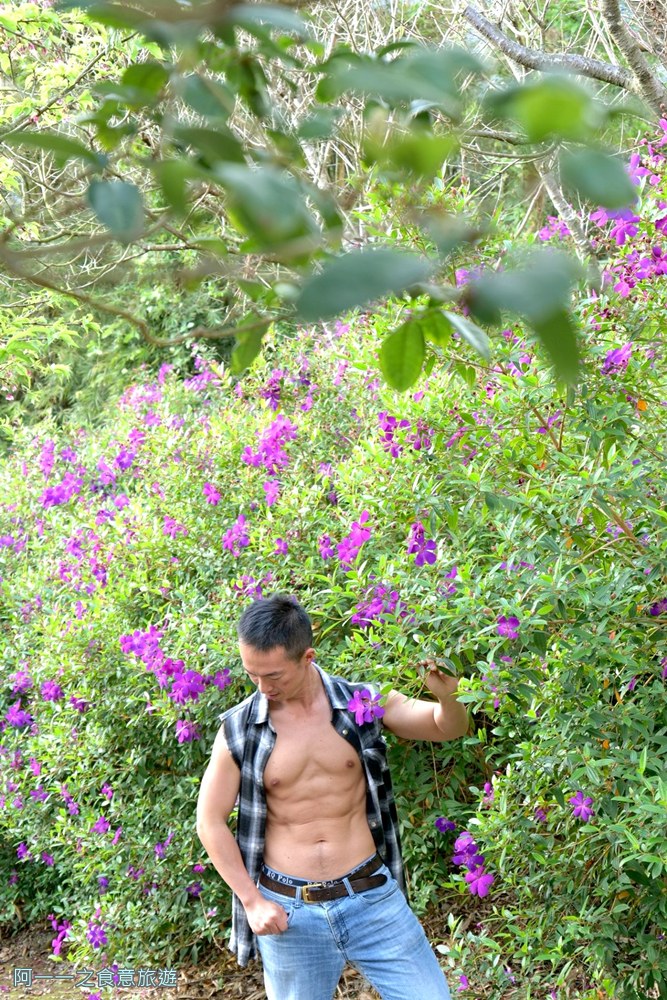 大埔農場紗帽山.台北陽明山櫻花季.秘境