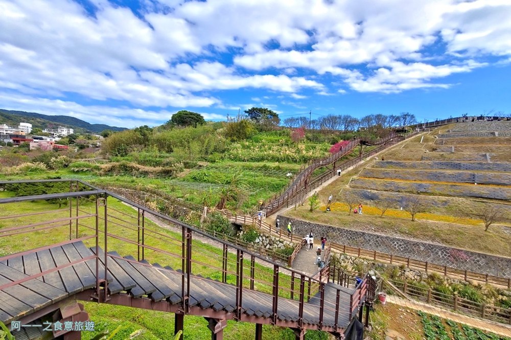 鵝尾山水梯田木棧道.陽明山秘境景點.櫻花