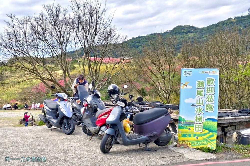 鵝尾山水梯田木棧道入口