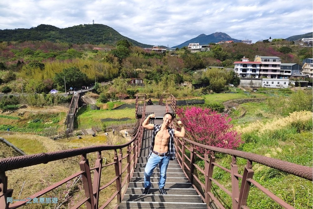 鵝尾山水梯田木棧道.陽明山秘境景點.櫻花