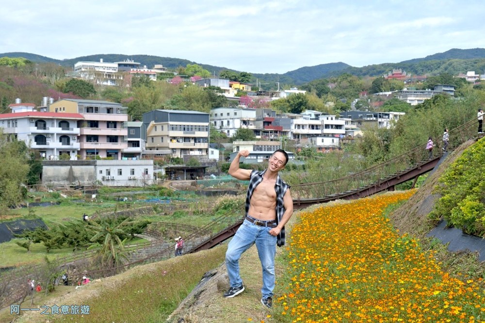 鵝尾山水梯田木棧道.陽明山秘境景點.花海
