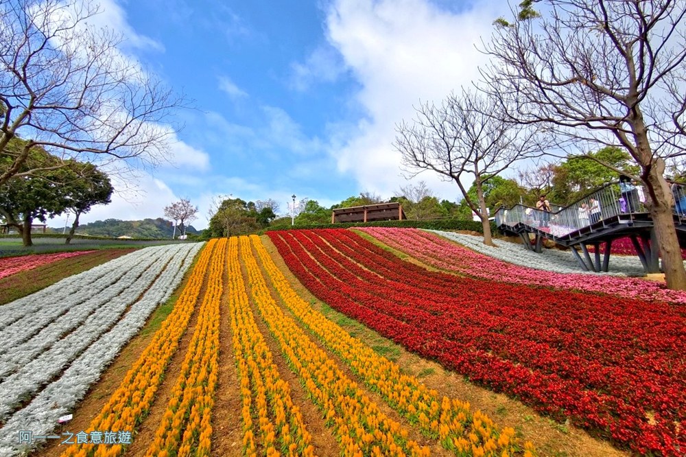 三層崎公園.北投花海.台版富良野
