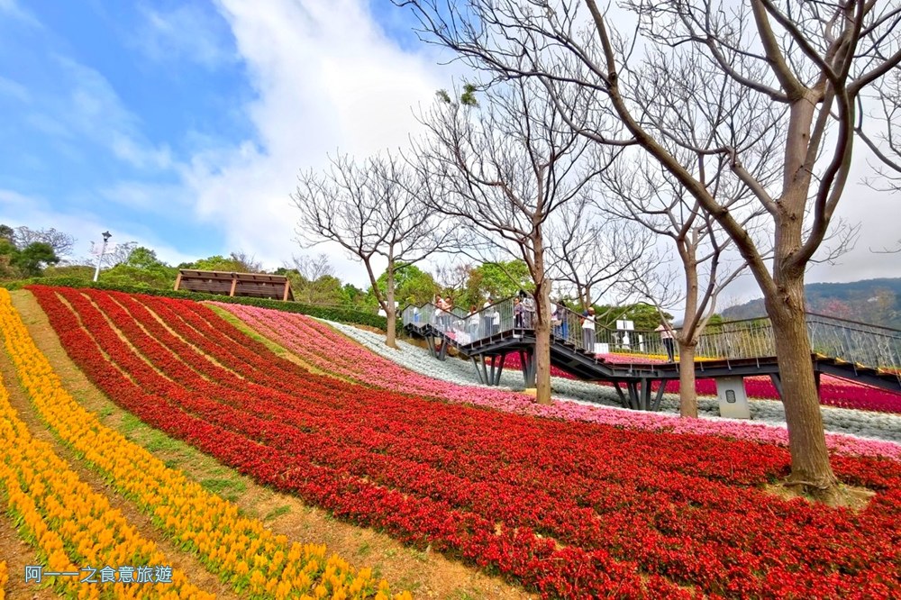 三層崎公園.北投花海.台版富良野