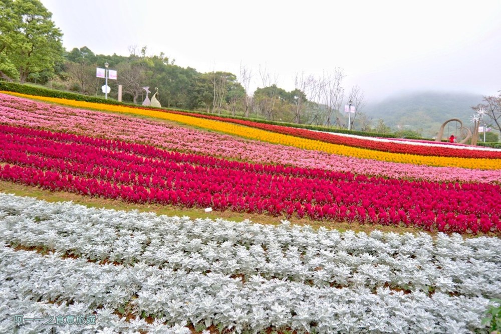 三層崎公園.北投花海.台版富良野