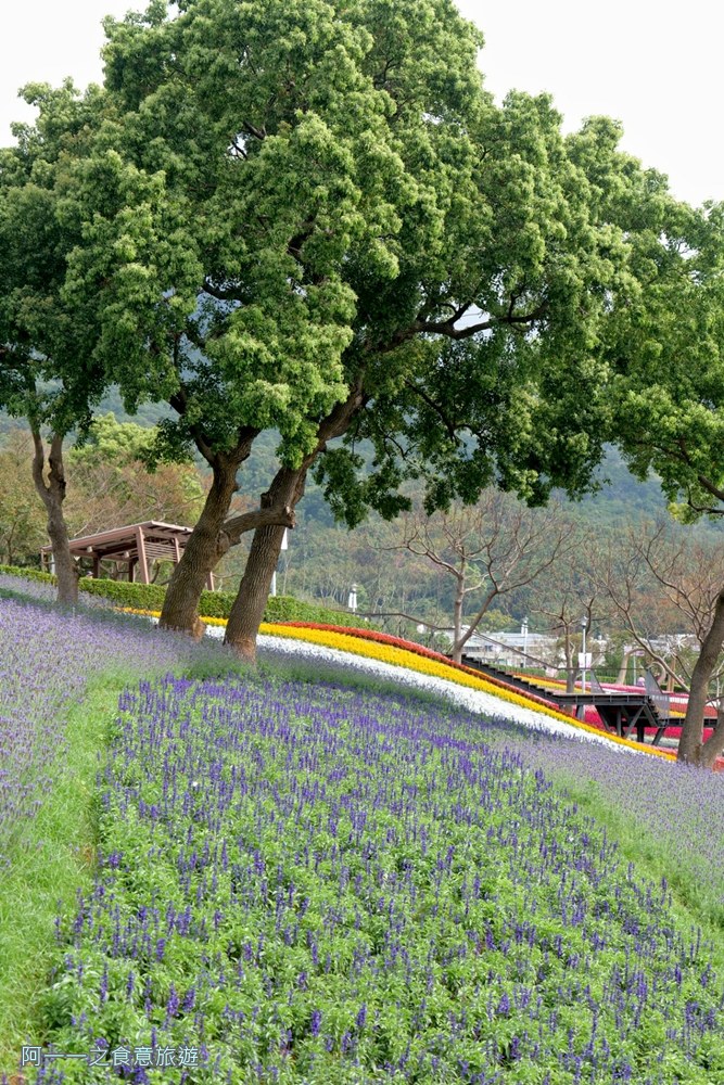 三層崎公園.北投花海.台版富良野