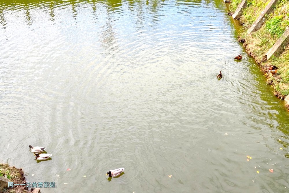 嗄嘮別公園.北投花海.台版富良野