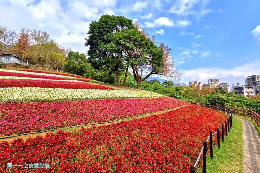 嗄嘮別公園.北投花海.台版富良野