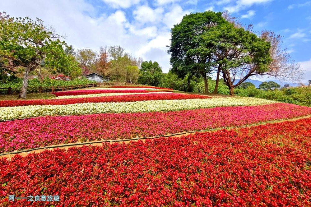 嗄嘮別公園.北投花海.台版富良野