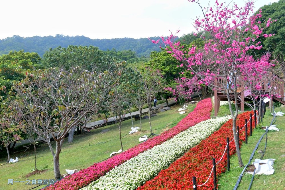 嗄嘮別公園.北投花海.台版富良野
