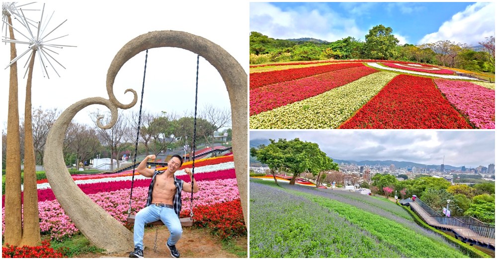 北投三層崎公園花海 台北賞花秘境｜免門票台版富良野 雙公園夢幻彩虹花毯超療癒