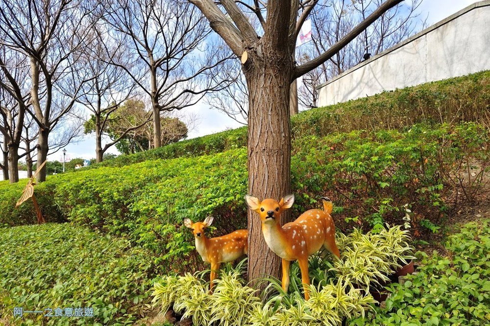 三層崎公園.北投花海.台版富良野