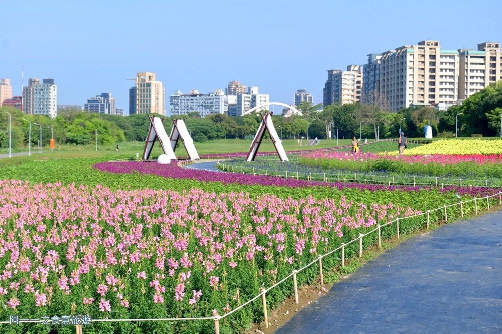 古亭河濱公園花海.台北賞花景點.金魚草
