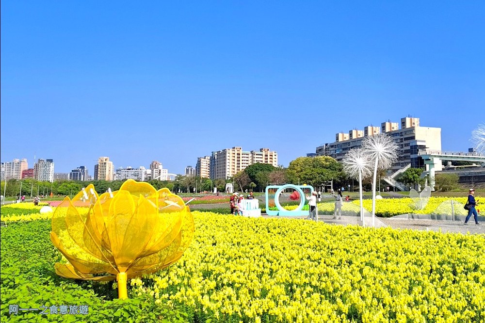 古亭河濱公園花海.台北賞花景點.金魚草