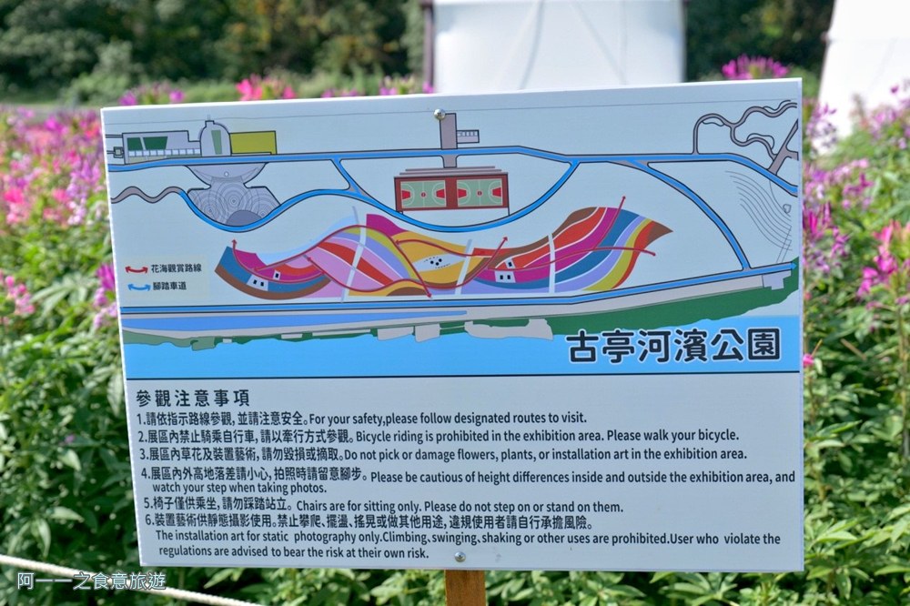 古亭河濱公園花海.台北賞花景點