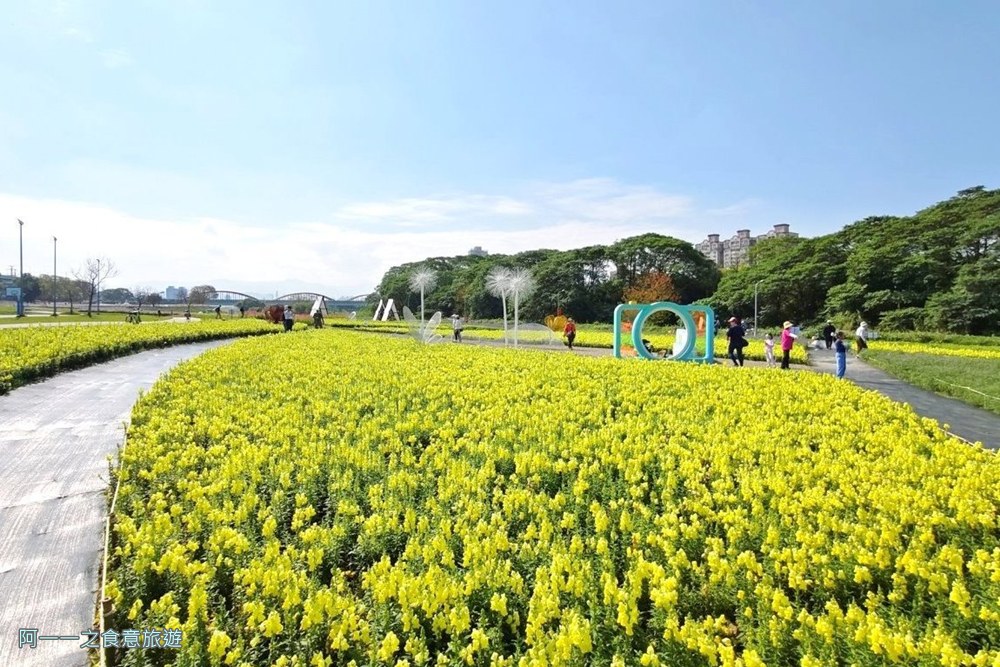 古亭河濱公園花海.台北賞花景點.金魚草