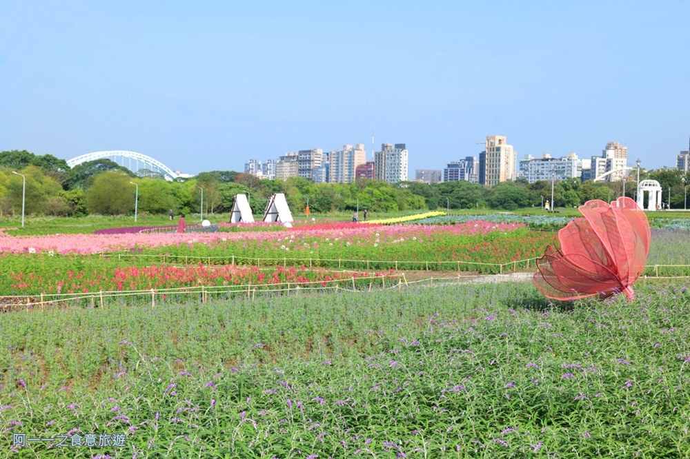 古亭河濱公園花海.台北賞花景點