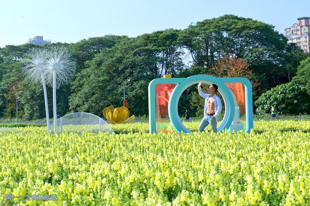 古亭河濱公園花海.台北賞花景點.金魚草