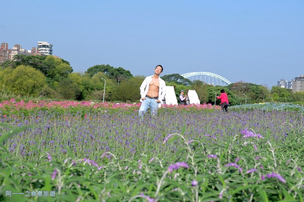 古亭河濱公園花海.台北賞花景點.粉蝶花