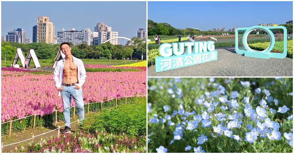 古亭河濱公園花海.台北賞花景點.粉蝶花