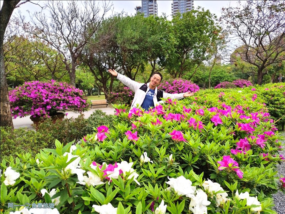 大安森林公園繡球花展.台北杜鵑花季