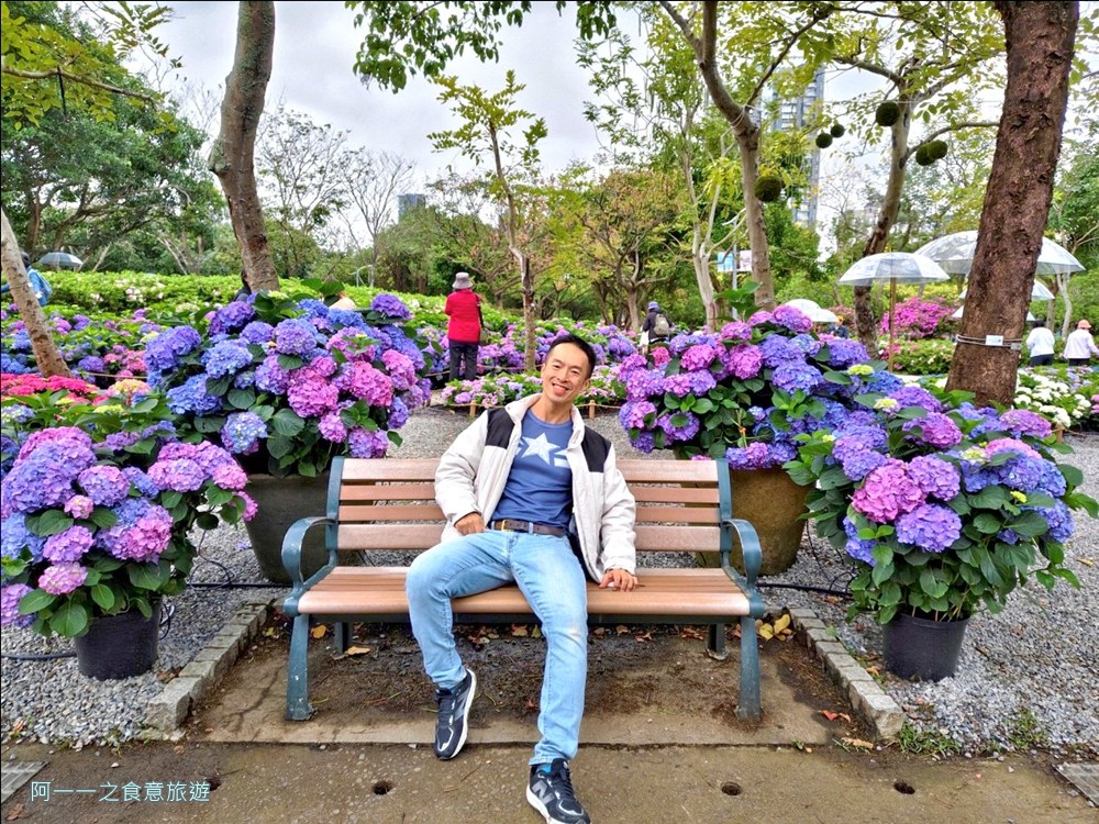 大安森林公園繡球花展.台北杜鵑花季