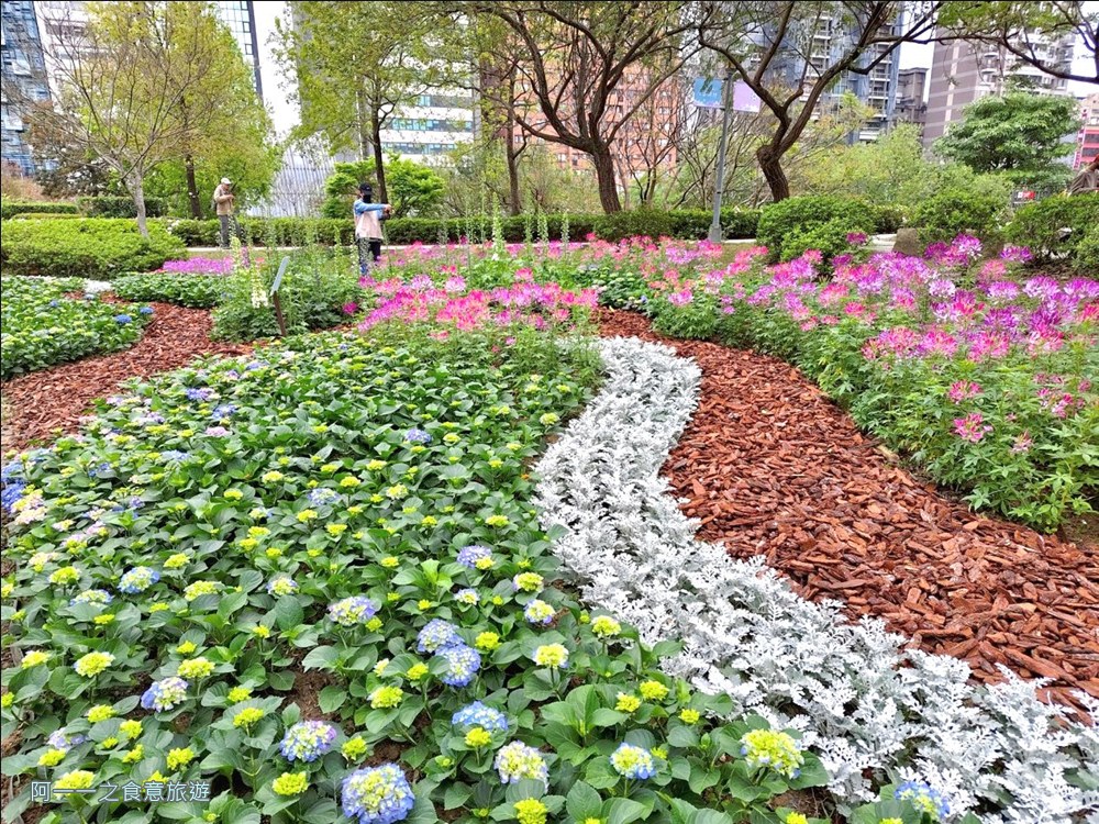 大安森林公園繡球花展.台北杜鵑花季