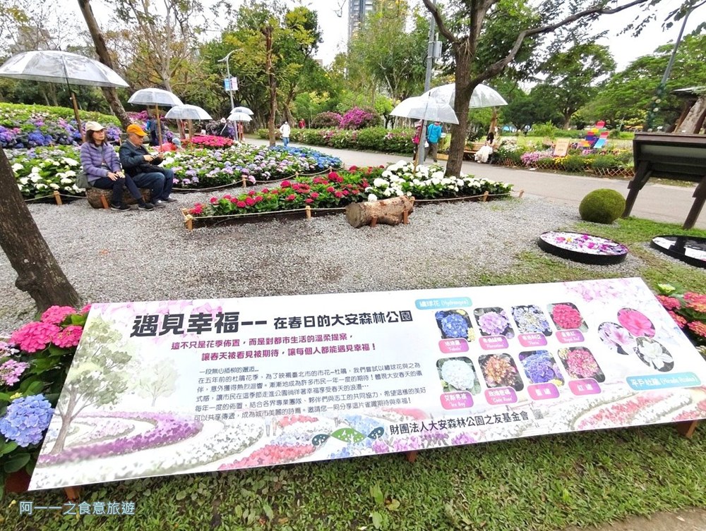 大安森林公園繡球花展.台北杜鵑花季