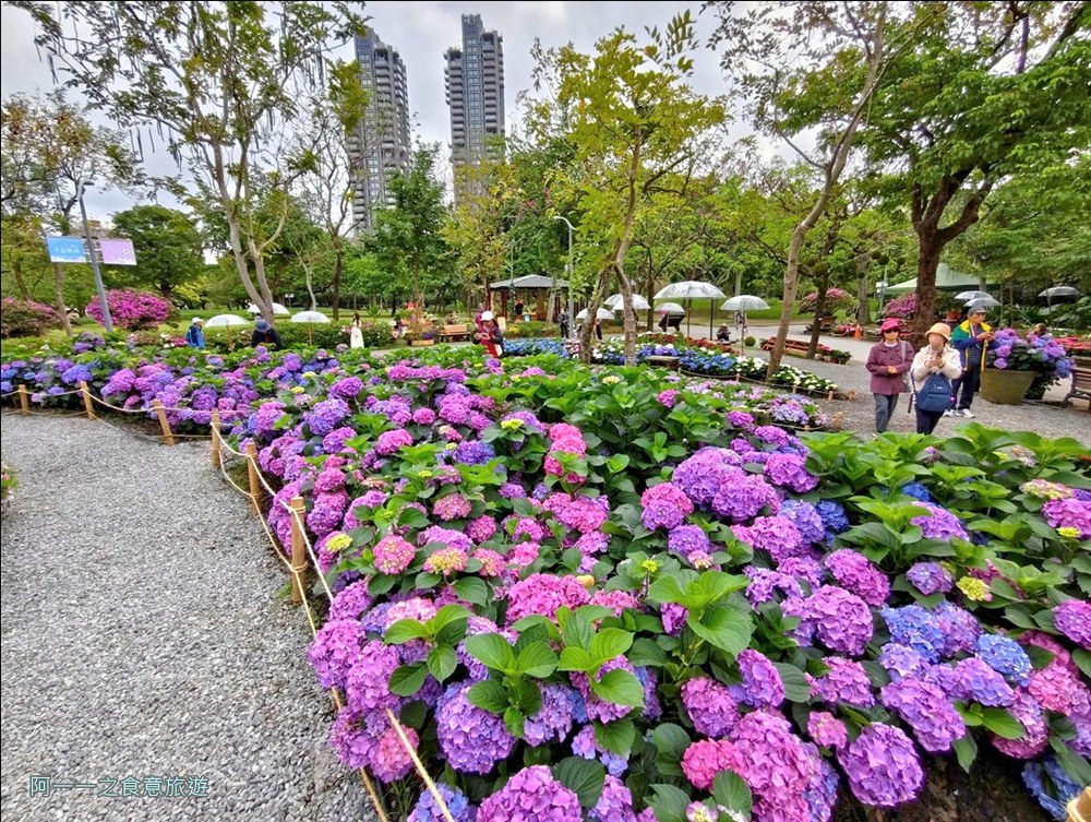 大安森林公園繡球花展.台北杜鵑花季