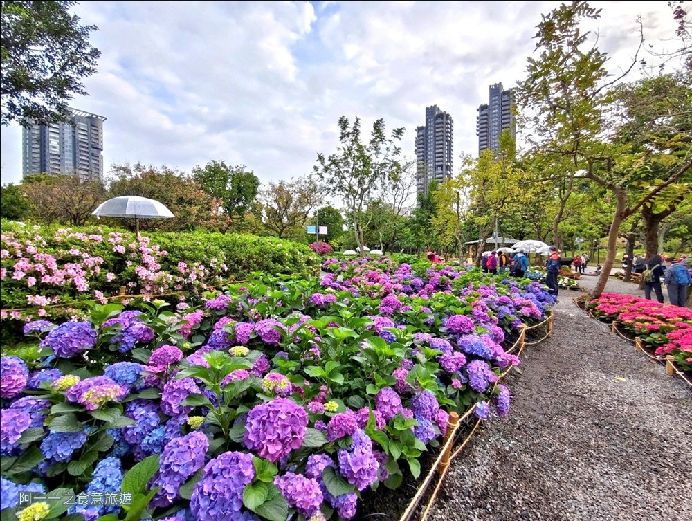 大安森林公園繡球花展.台北杜鵑花季