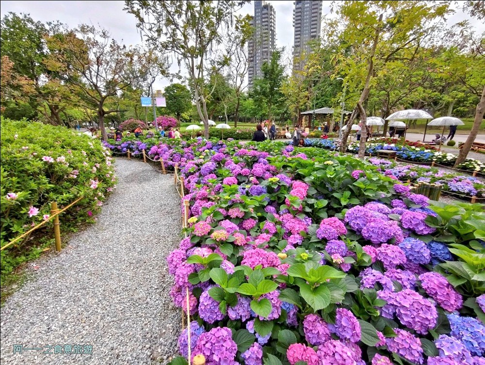 大安森林公園繡球花展.台北杜鵑花季