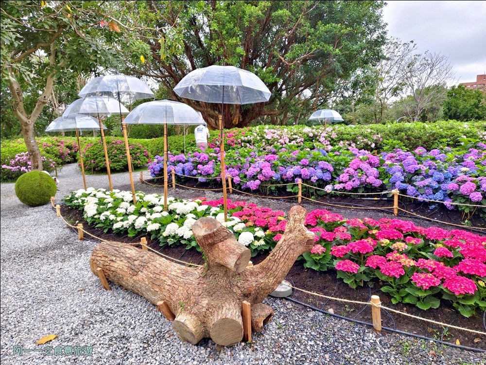 大安森林公園繡球花展.台北杜鵑花季