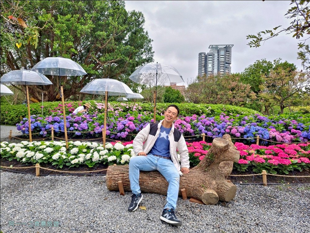 大安森林公園繡球花展.台北杜鵑花季
