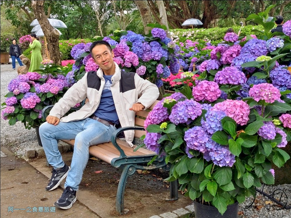 大安森林公園繡球花展.台北杜鵑花季