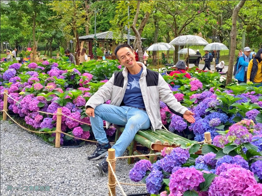 大安森林公園繡球花展.台北杜鵑花季