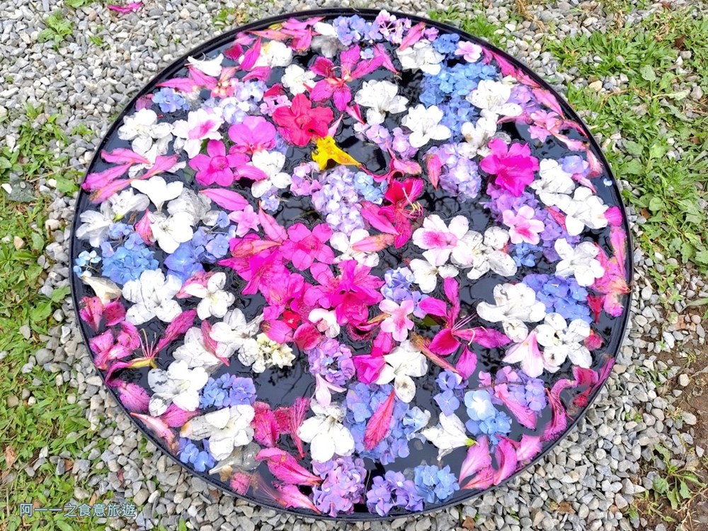 大安森林公園繡球花展.台北杜鵑花季