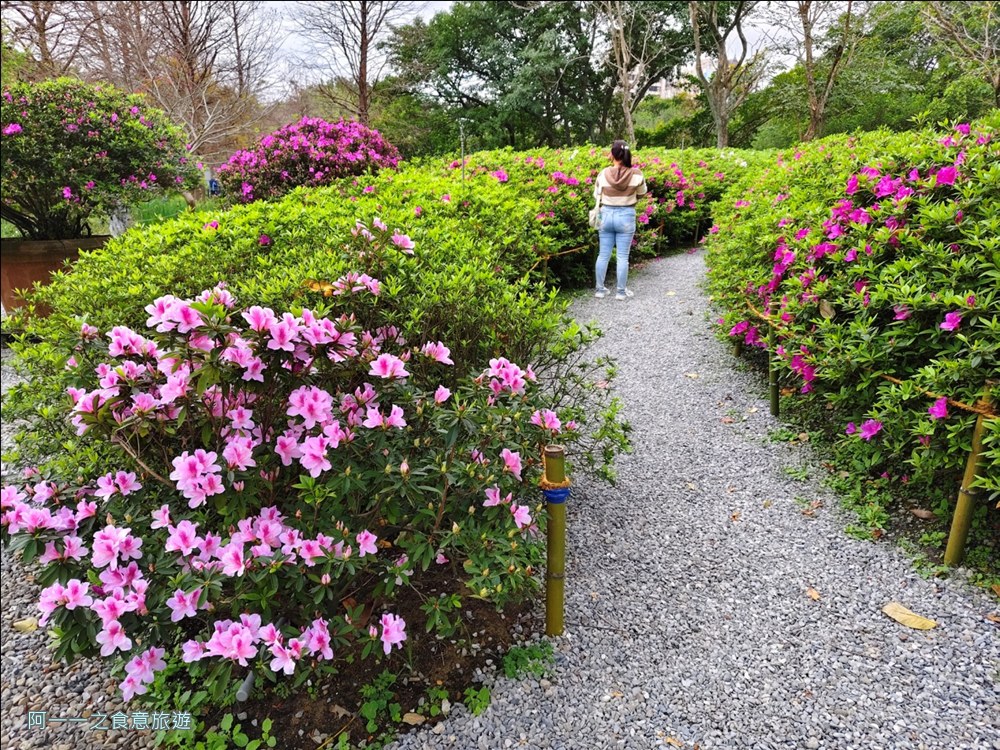 大安森林公園繡球花展.台北杜鵑花季
