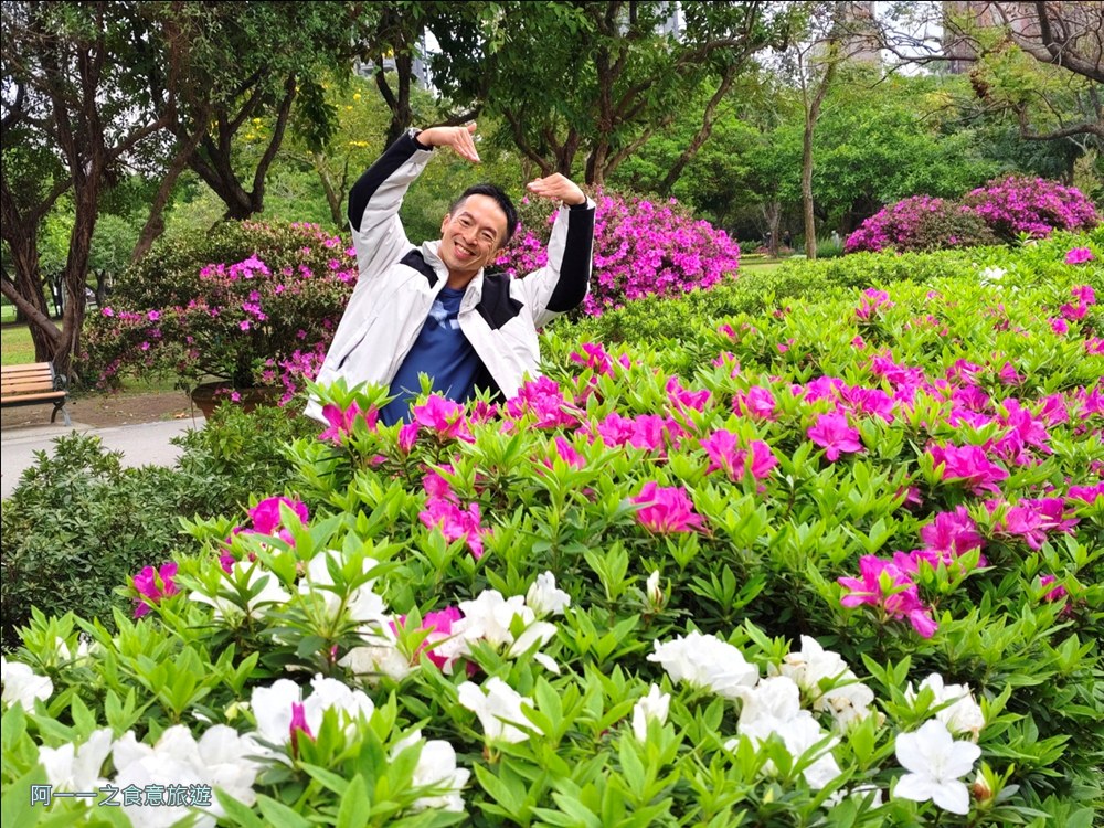 大安森林公園繡球花展.台北杜鵑花季