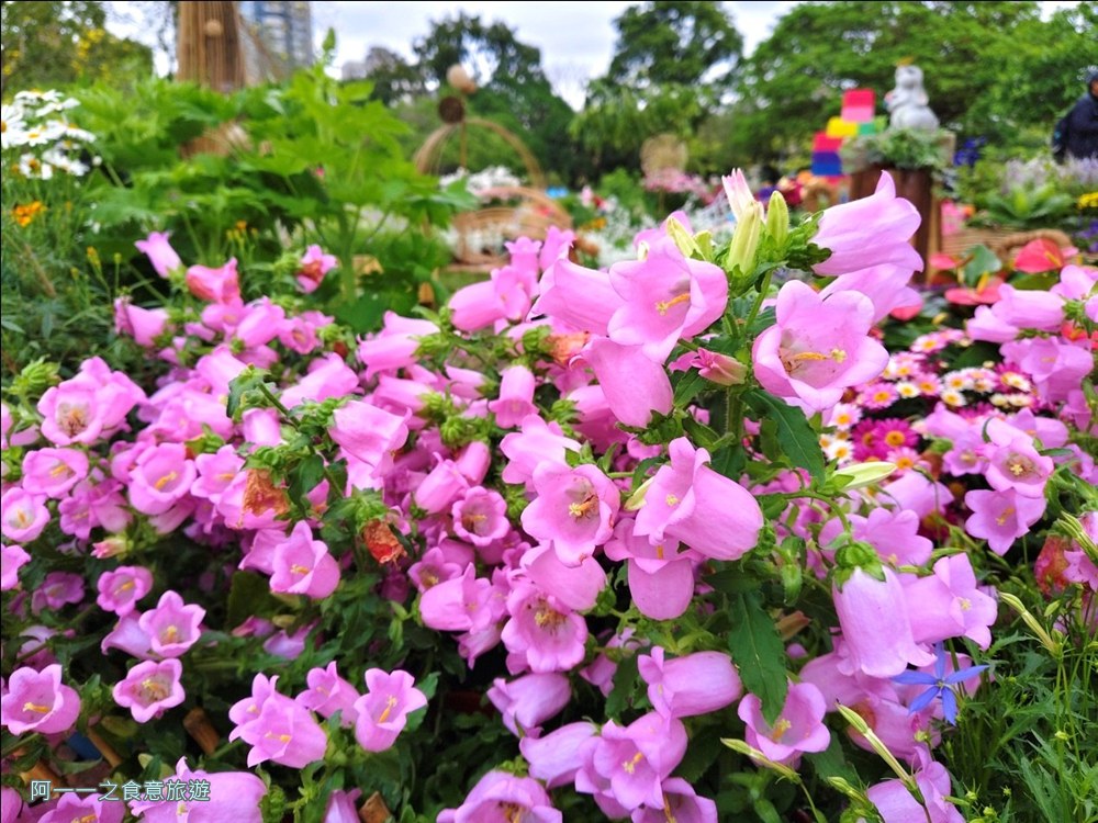 大安森林公園繡球花展.台北杜鵑花季